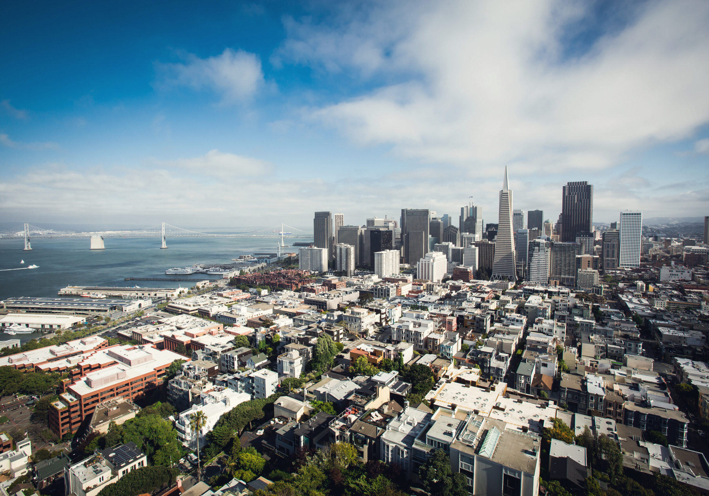 For Companies, San Francisco Skyline